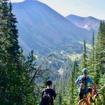 lifestyle2